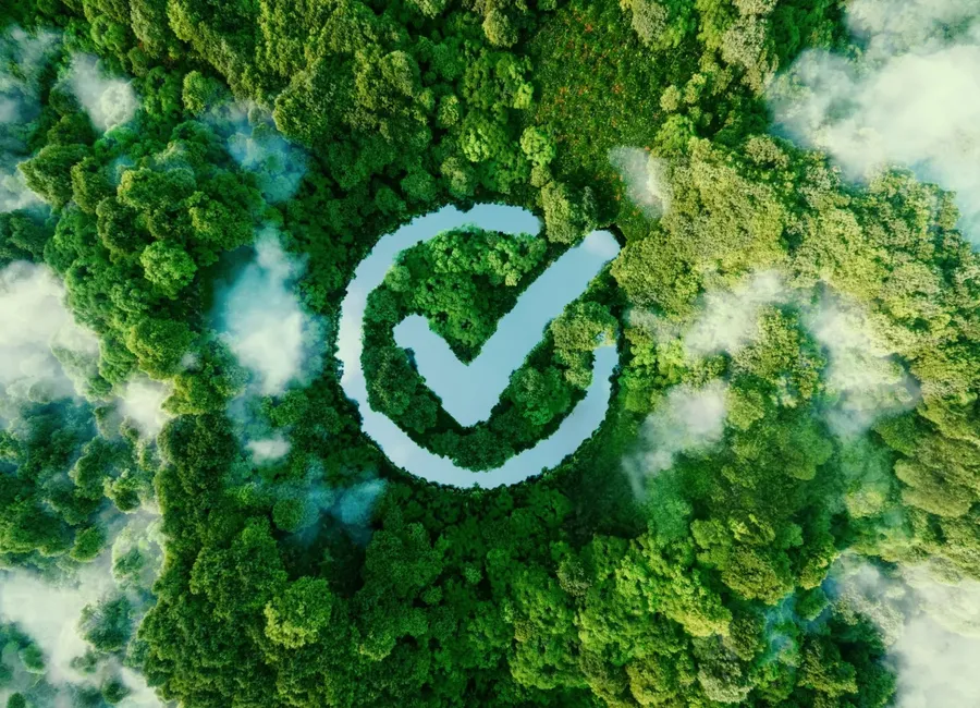 SSV service — Environmental and Social Studies
